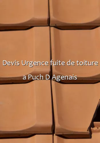 Devis Urgence fuite de toiture a Puch D Agenais