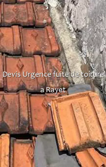 Devis Urgence fuite de toiture a Rayet