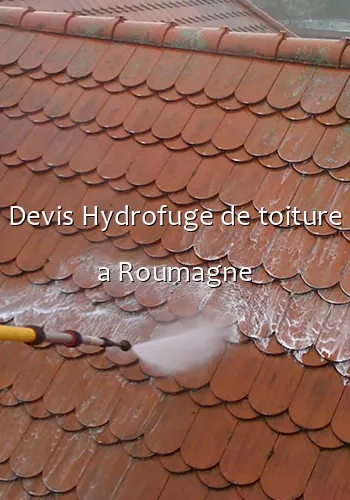 Devis Hydrofuge de toiture a Roumagne