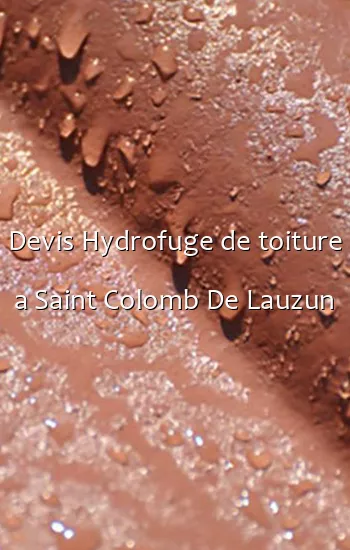 Devis Hydrofuge de toiture a Saint Colomb De Lauzun