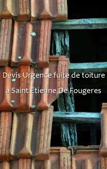 Devis Urgence fuite de toiture a Saint Etienne De Fougeres