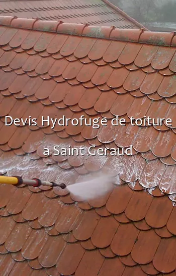 Devis Hydrofuge de toiture a Saint Geraud