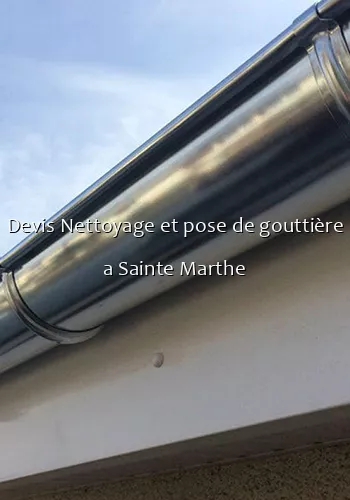 Devis Nettoyage et pose de gouttière a Sainte Marthe