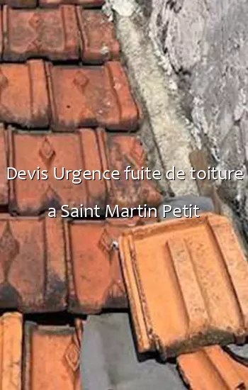 Devis Urgence fuite de toiture a Saint Martin Petit