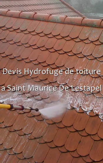 Devis Hydrofuge de toiture a Saint Maurice De Lestapel