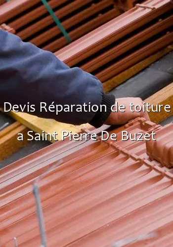 Devis Réparation de toiture a Saint Pierre De Buzet