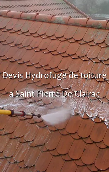 Devis Hydrofuge de toiture a Saint Pierre De Clairac