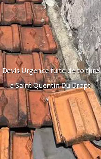 Devis Urgence fuite de toiture a Saint Quentin Du Dropt