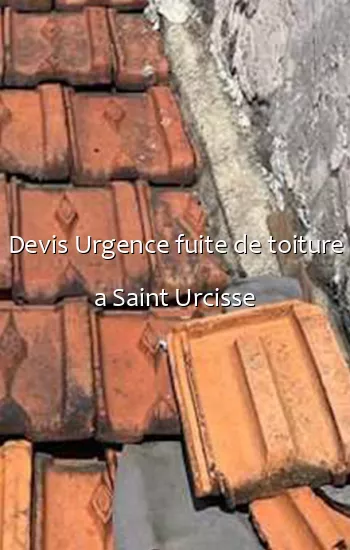 Devis Urgence fuite de toiture a Saint Urcisse