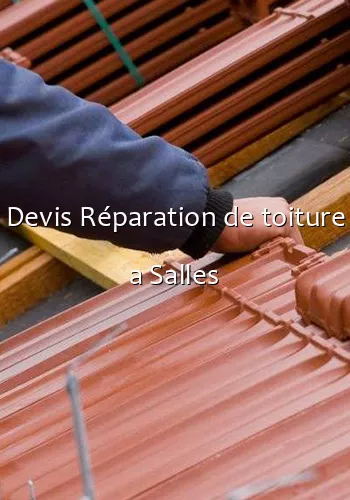 Devis Réparation de toiture a Salles