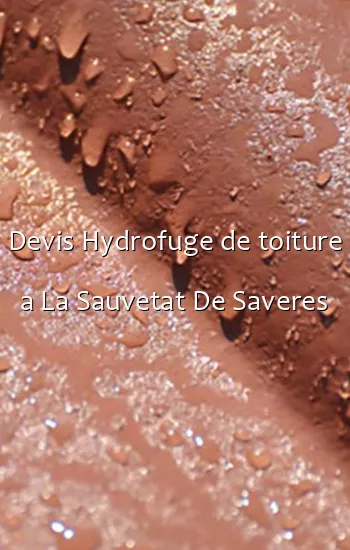 Devis Hydrofuge de toiture a La Sauvetat De Saveres