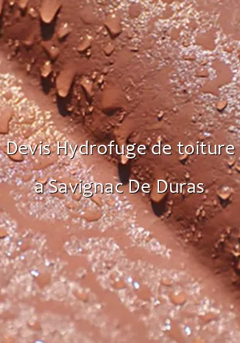 Devis Hydrofuge de toiture a Savignac De Duras