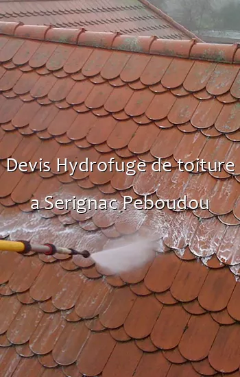 Devis Hydrofuge de toiture a Serignac Peboudou