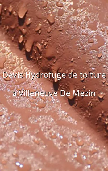 Devis Hydrofuge de toiture a Villeneuve De Mezin